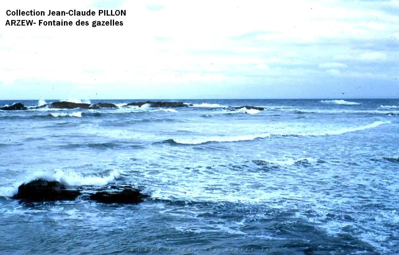 ARZEW1 LE RIVAGE.jpg